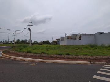 Terreno / Condomínio em Araçatuba , Comprar por R$Consulte-nosAlugar por R$(L) 0,00