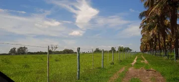 Rural / Sítio em Araçatuba , Comprar por R$Consulte-nos