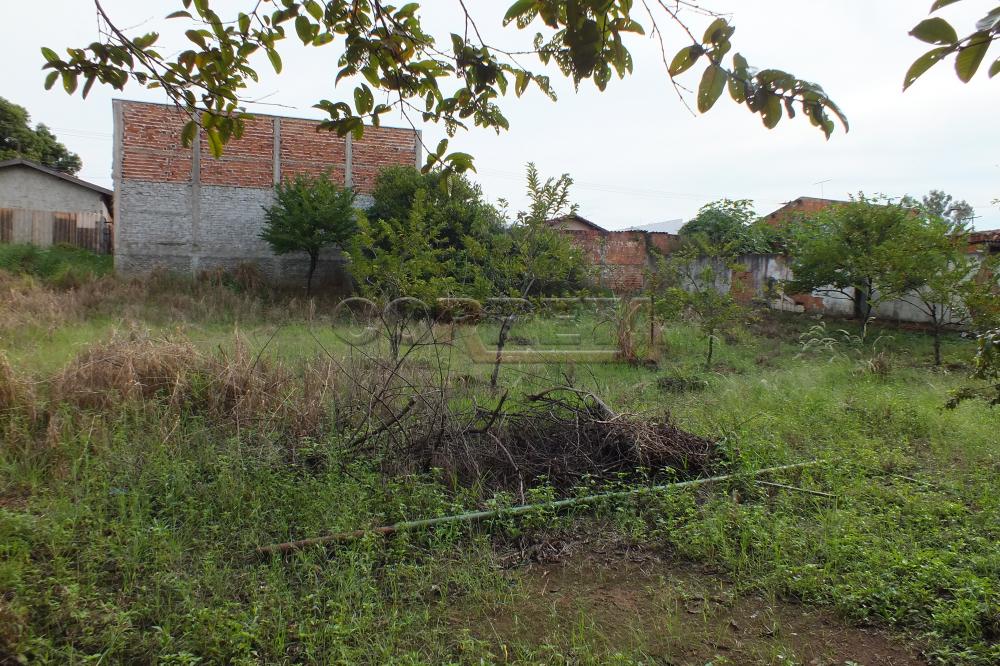 Comprar Terreno / Área em Araçatuba R$ 400.000,00 - Foto 1
