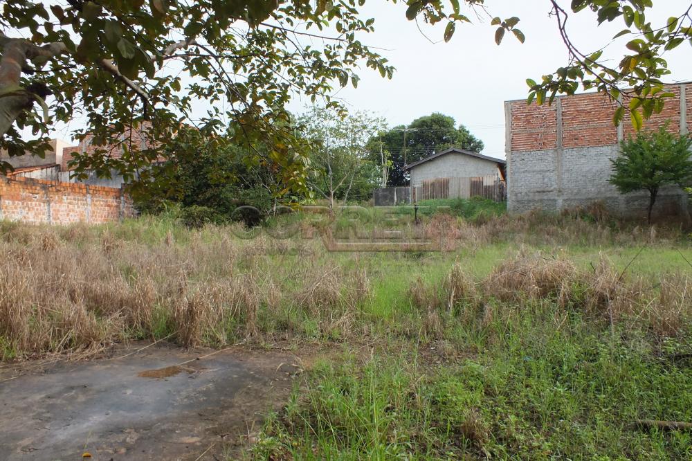 Comprar Terreno / Área em Araçatuba R$ 400.000,00 - Foto 2
