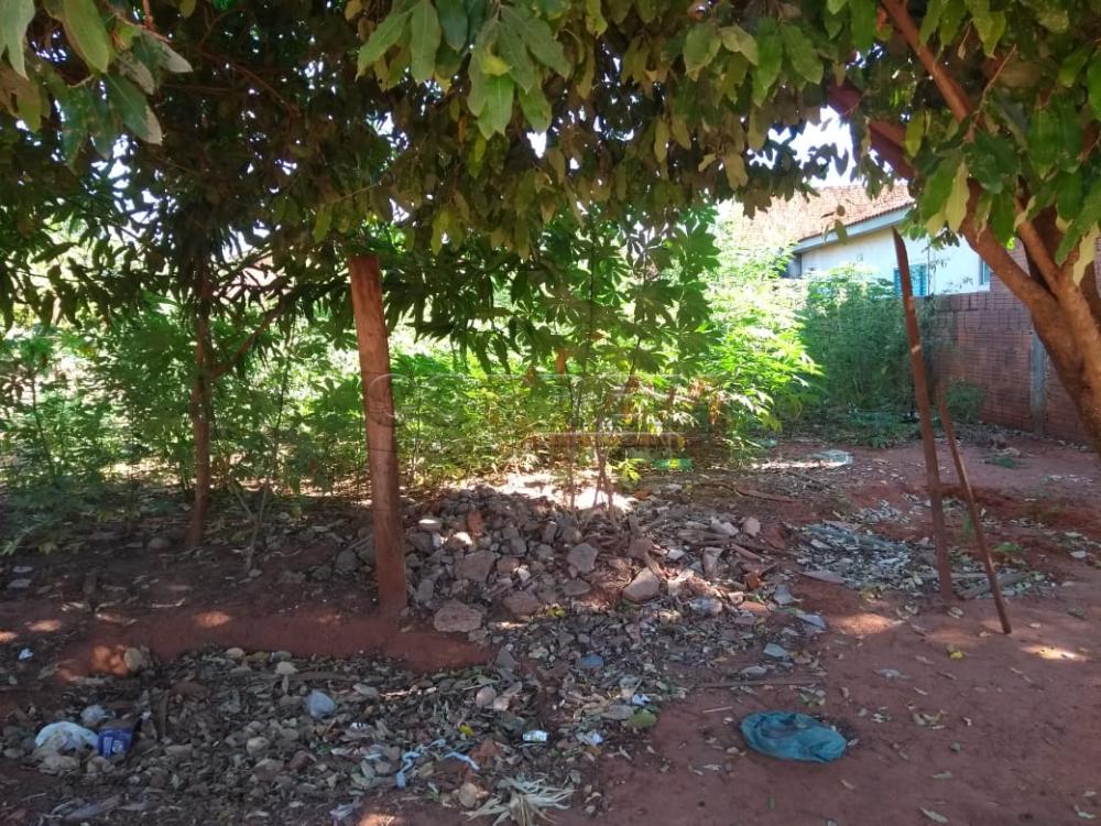 Comprar Terreno / Padrão em Araçatuba R$ 80.000,00 - Foto 2