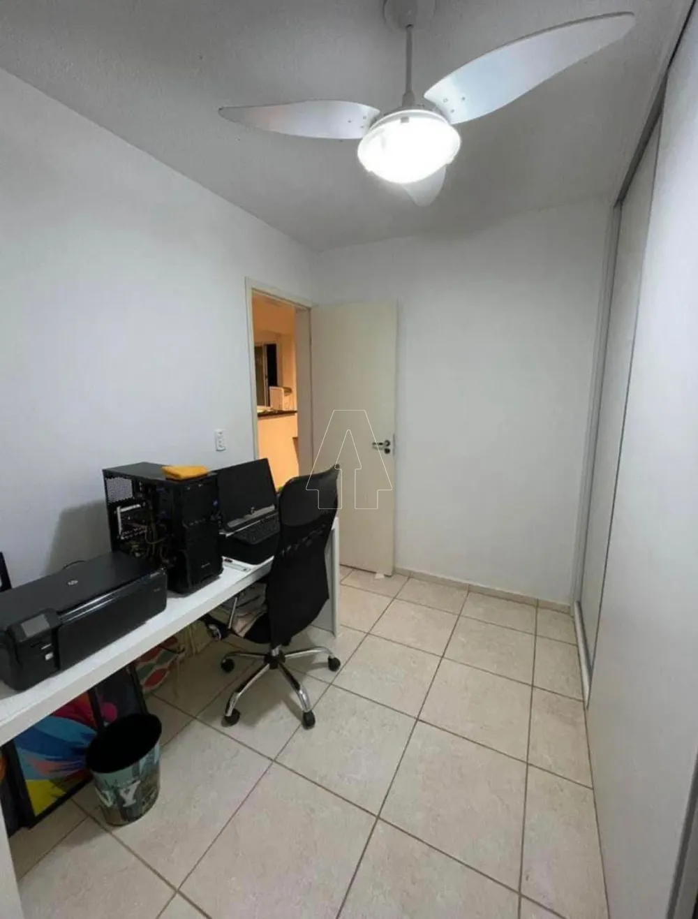 Alugar Apartamento / Padrão em Araçatuba R$ 550,00 - Foto 11