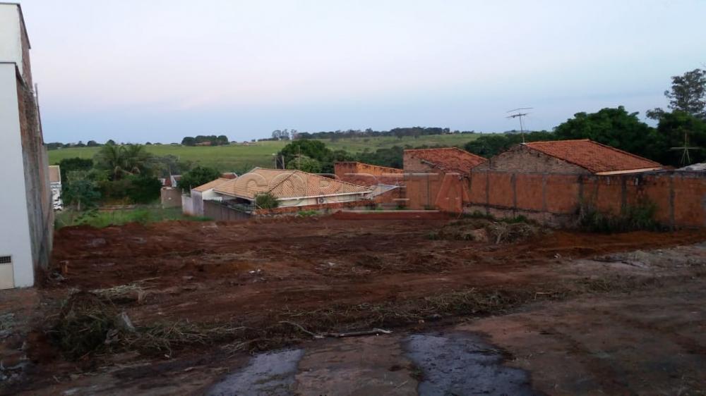 Comprar Terreno / Padrão em Araçatuba R$ 135.000,00 - Foto 2