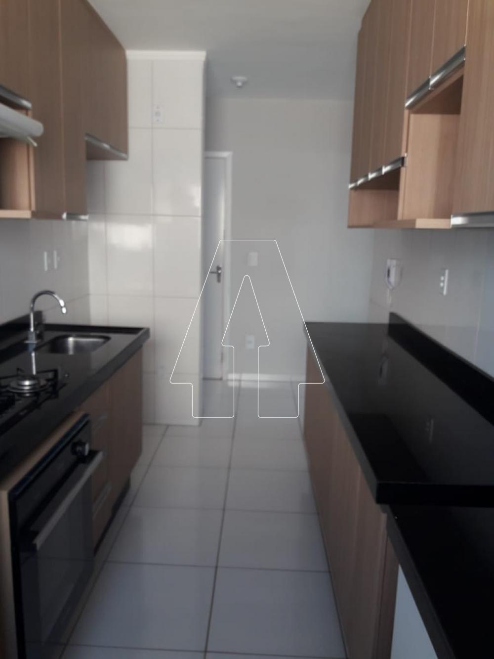 Alugar Apartamento / Padrão em Araçatuba R$ 1.100,00 - Foto 4