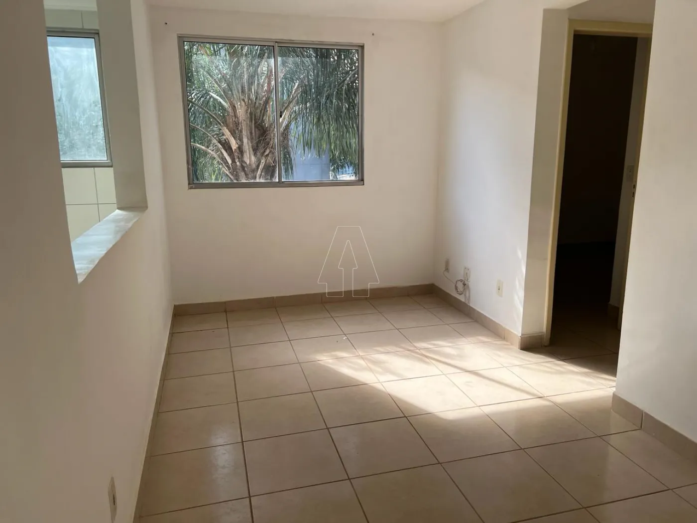 Alugar Apartamento / Padrão em Araçatuba R$ 1.000,00 - Foto 5