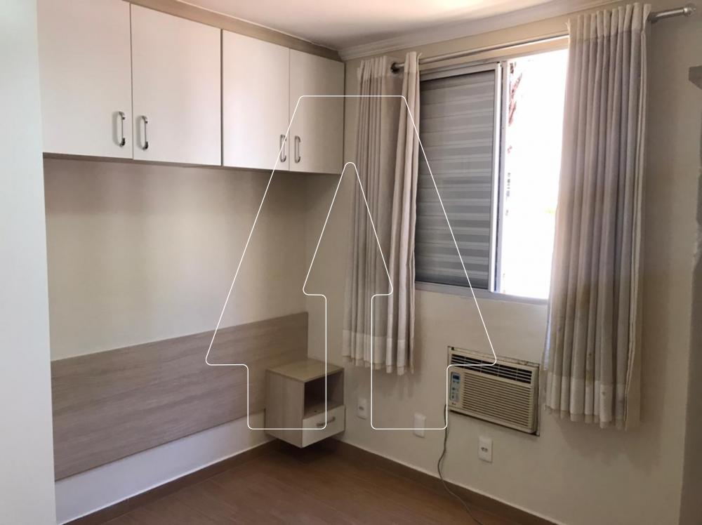 Alugar Apartamento / Padrão em Araçatuba R$ 900,00 - Foto 13