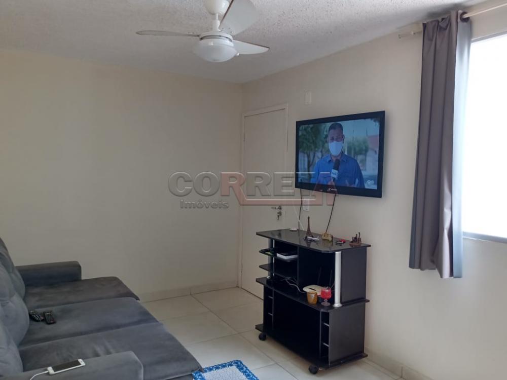 Alugar Apartamento / Padrão em Araçatuba R$ 501,00 - Foto 1