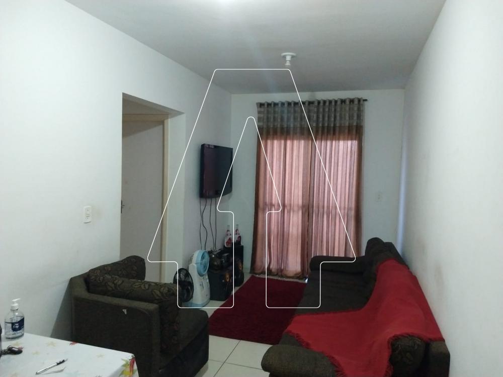Alugar Apartamento / Padrão em Araçatuba R$ 720,00 - Foto 1