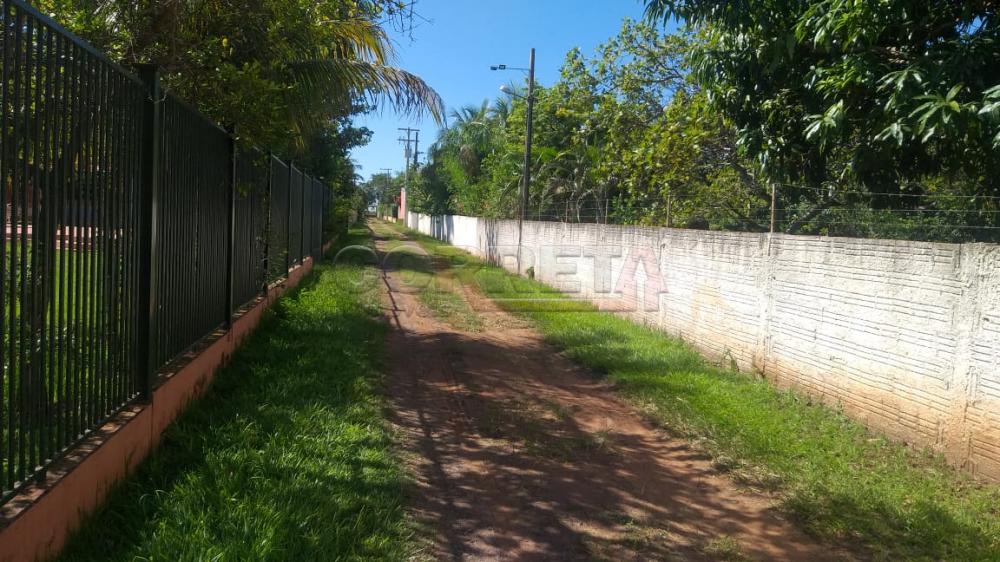 Comprar Rural / Rancho em Santo Antônio do Aracanguá R$ 350.000,00 - Foto 1