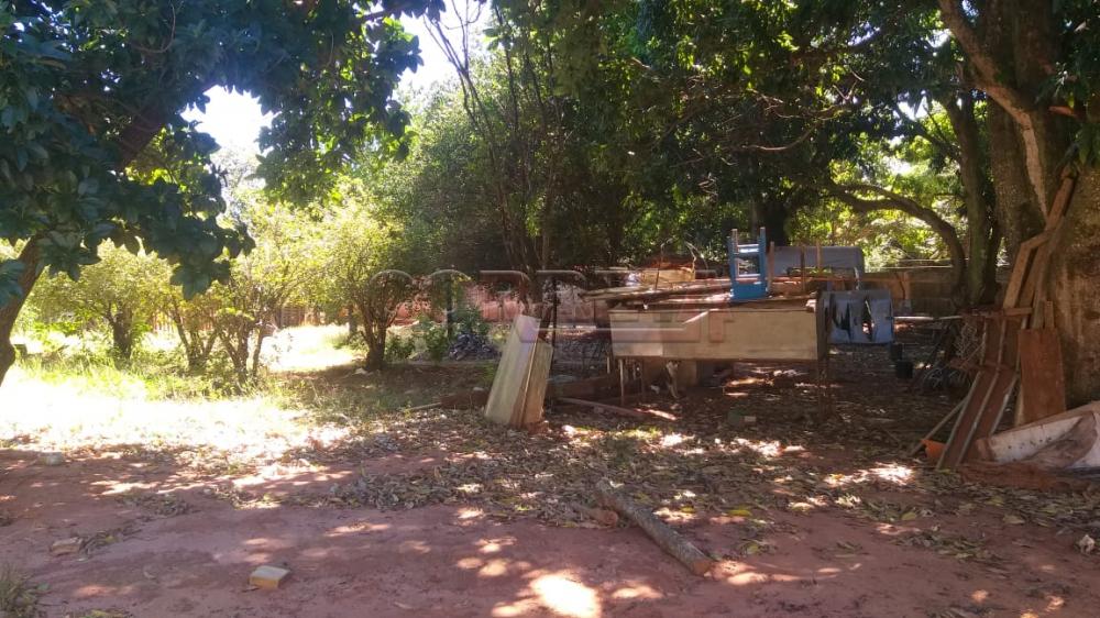 Comprar Terreno / Padrão em Araçatuba R$ 350.000,00 - Foto 10