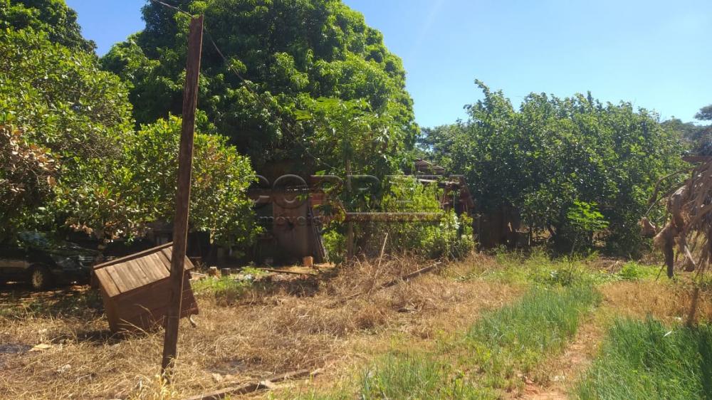 Comprar Terreno / Padrão em Araçatuba R$ 350.000,00 - Foto 12