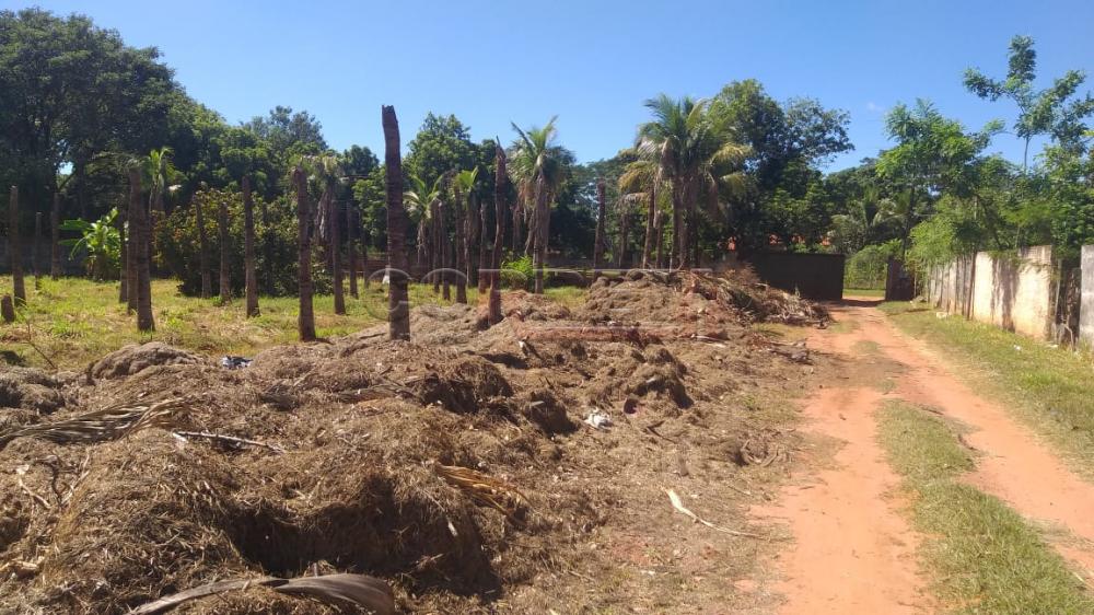 Comprar Terreno / Padrão em Araçatuba R$ 350.000,00 - Foto 13