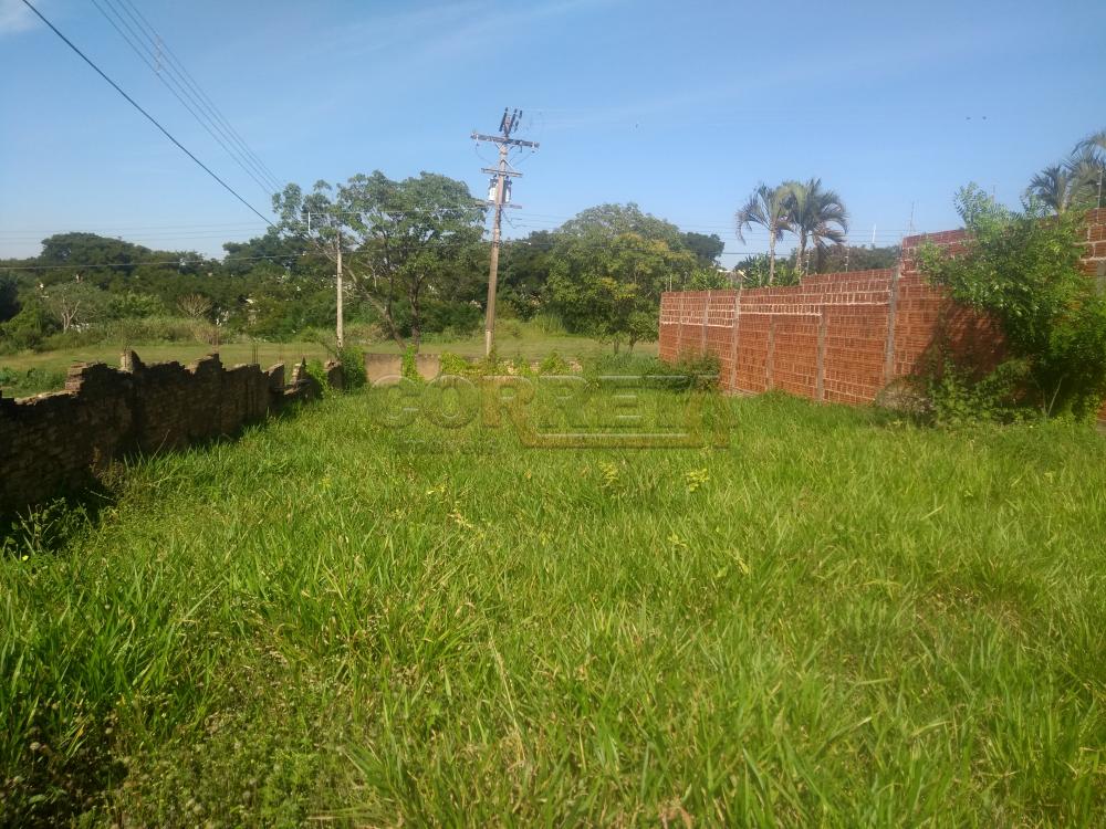 Comprar Terreno / Padrão em Araçatuba R$ 110.000,00 - Foto 2