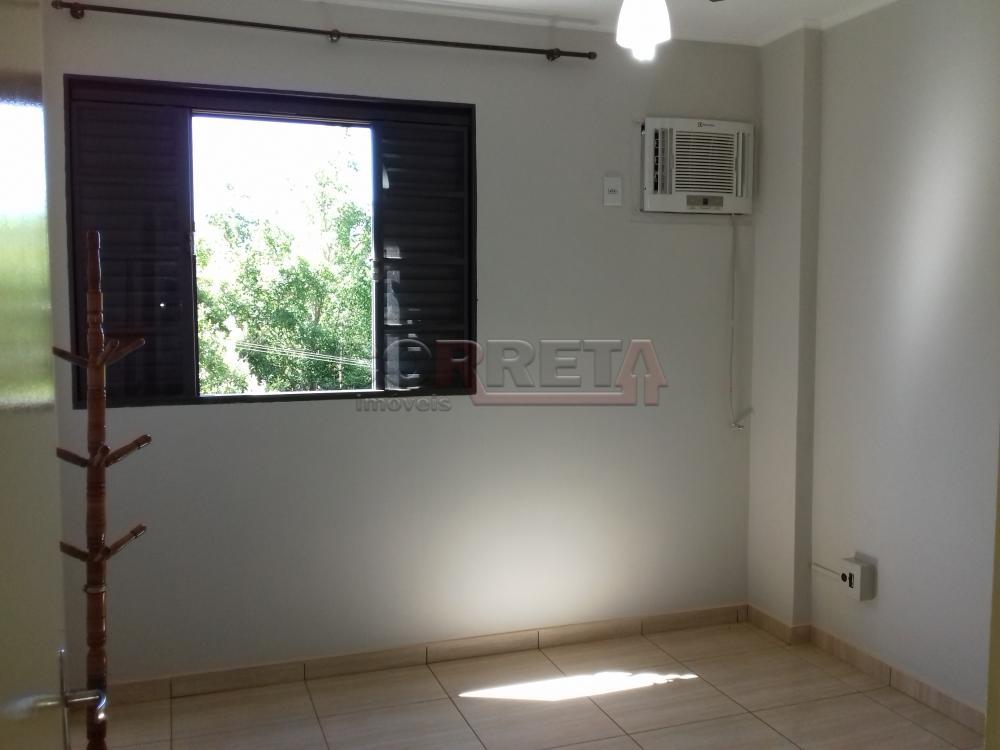 Alugar Apartamento / Padrão em Araçatuba R$ 700,00 - Foto 13