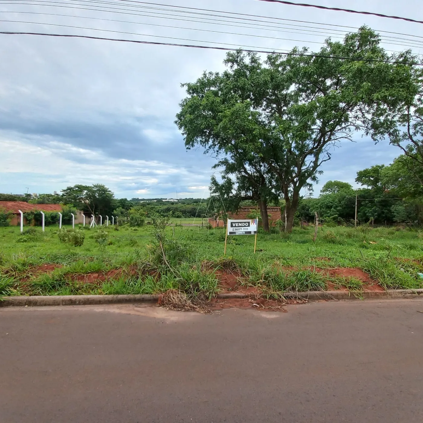 Comprar Terreno / Padrão em Araçatuba R$ 60.000,00 - Foto 1