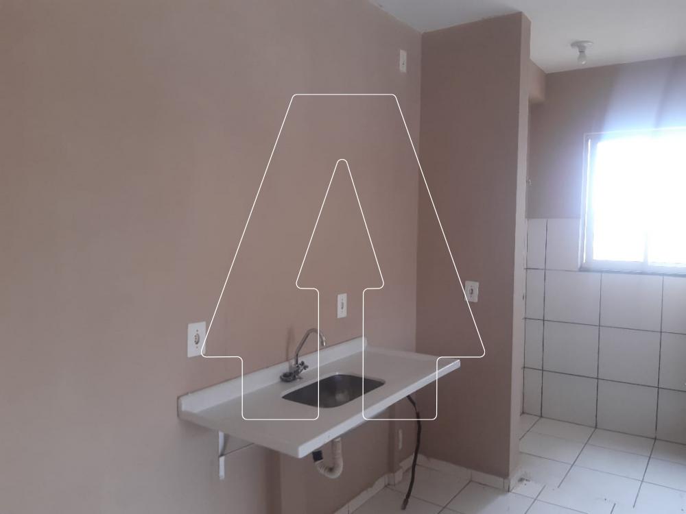 Alugar Apartamento / Padrão em Araçatuba R$ 600,00 - Foto 4