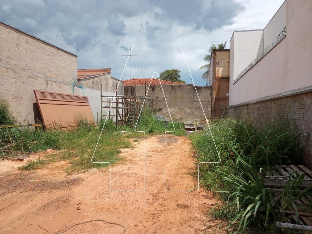 Comprar Terreno / Padrão em Araçatuba R$ 170.000,00 - Foto 3