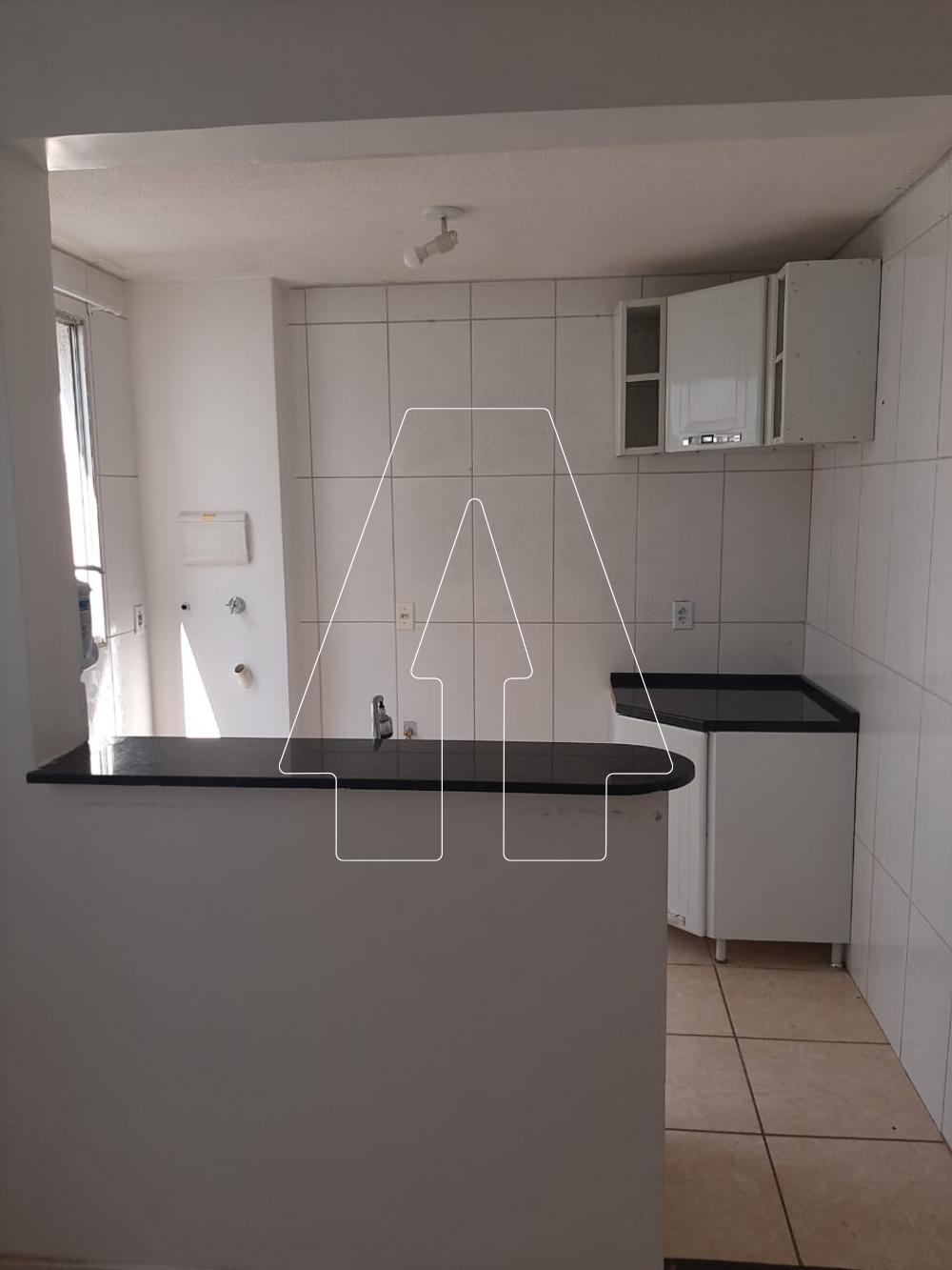 Alugar Apartamento / Padrão em Araçatuba R$ 800,00 - Foto 2