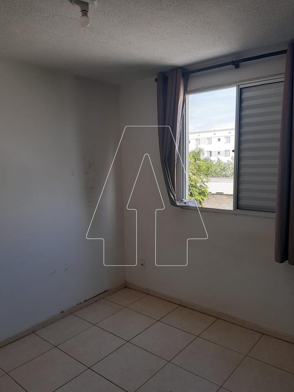 Alugar Apartamento / Padrão em Araçatuba R$ 800,00 - Foto 5