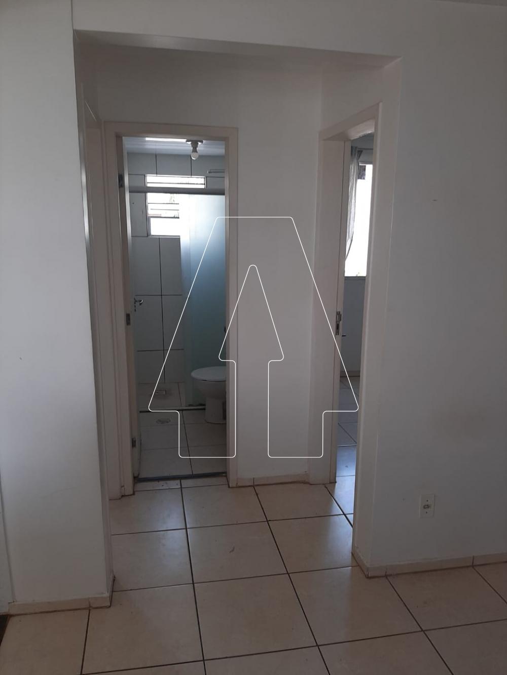 Alugar Apartamento / Padrão em Araçatuba R$ 800,00 - Foto 8
