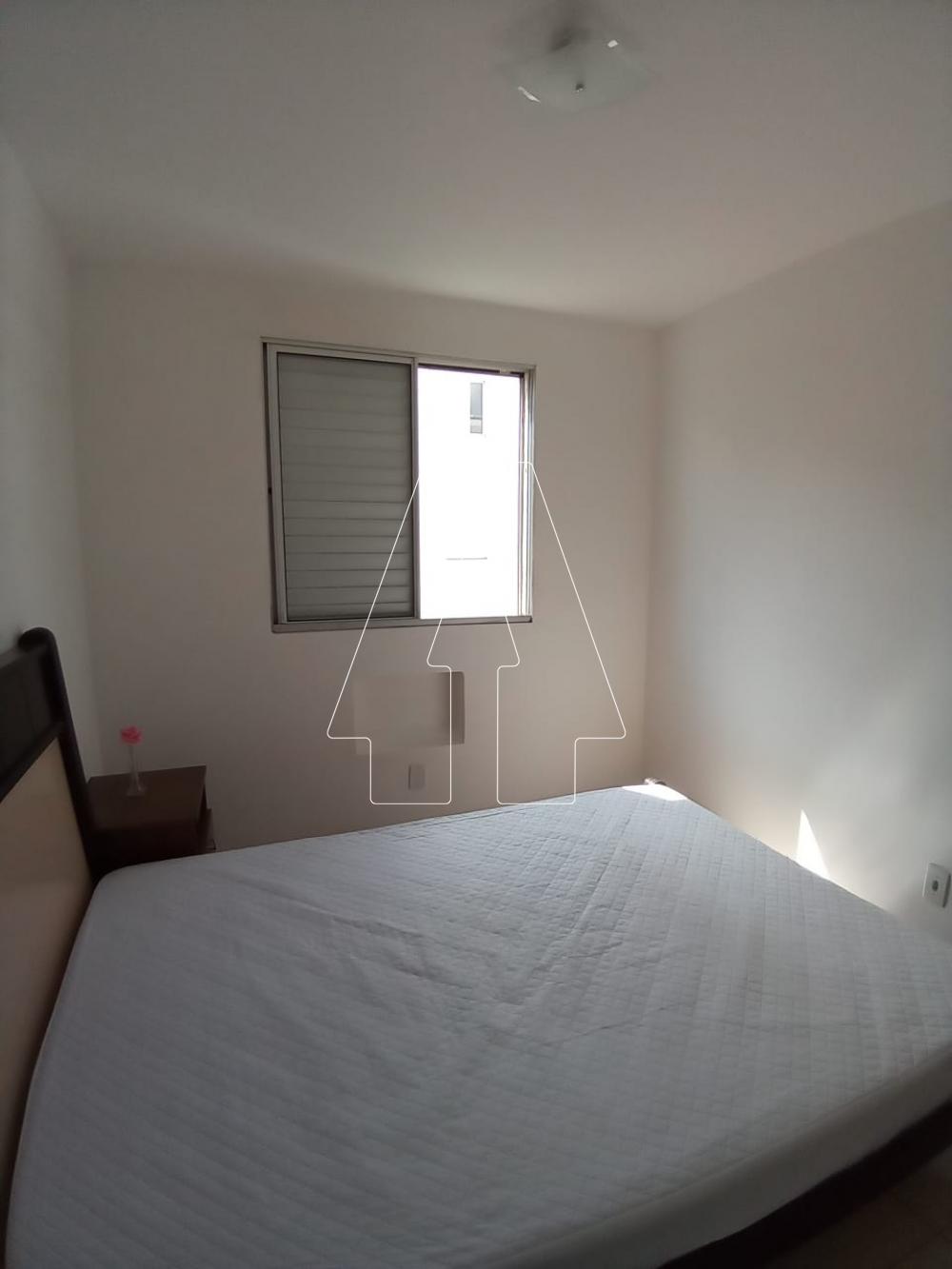 Alugar Apartamento / Padrão em Araçatuba R$ 600,00 - Foto 6