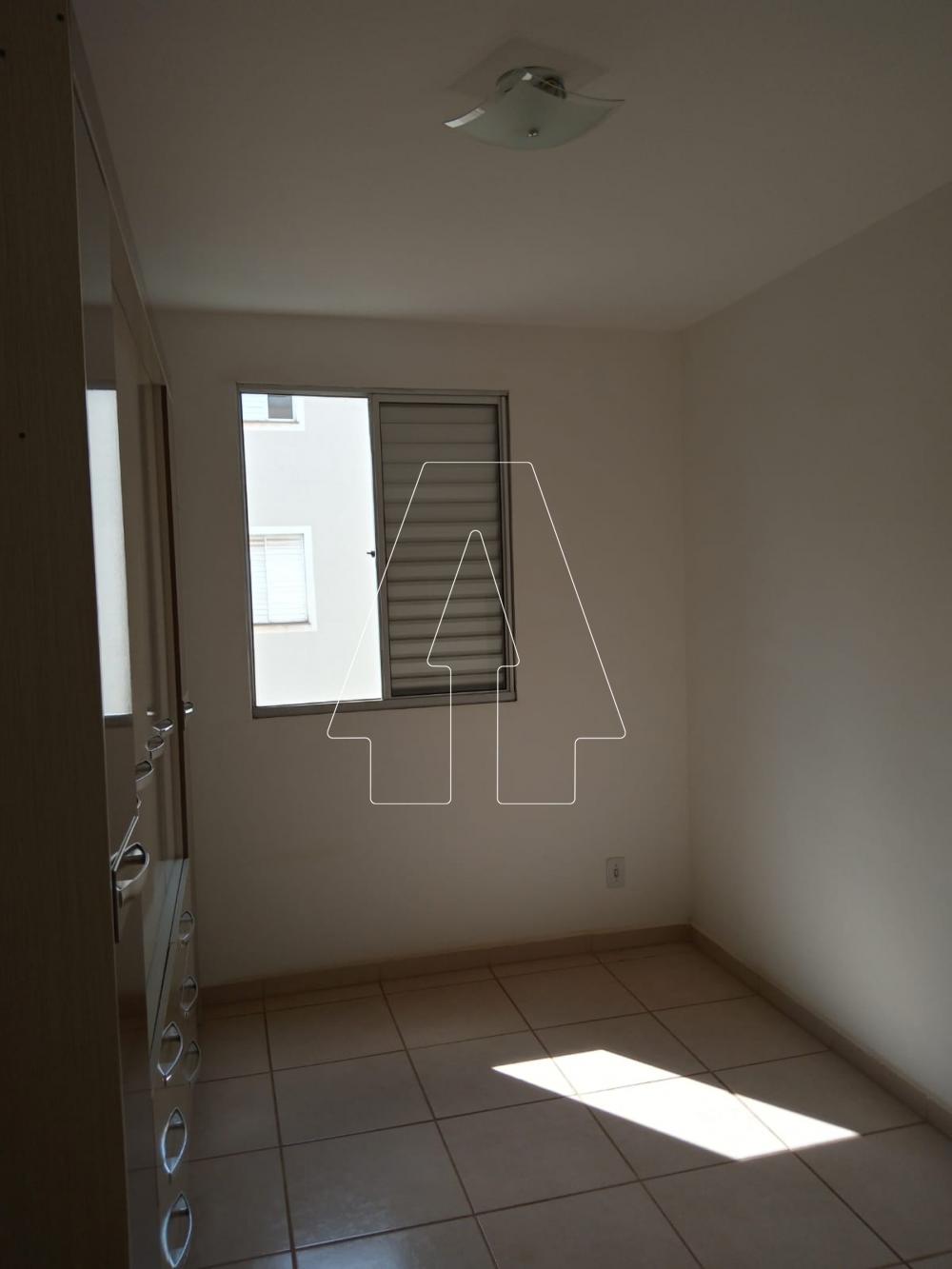 Alugar Apartamento / Padrão em Araçatuba R$ 600,00 - Foto 7