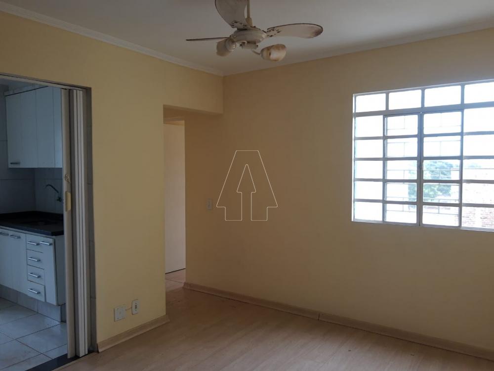 Alugar Apartamento / Padrão em Araçatuba R$ 550,00 - Foto 1
