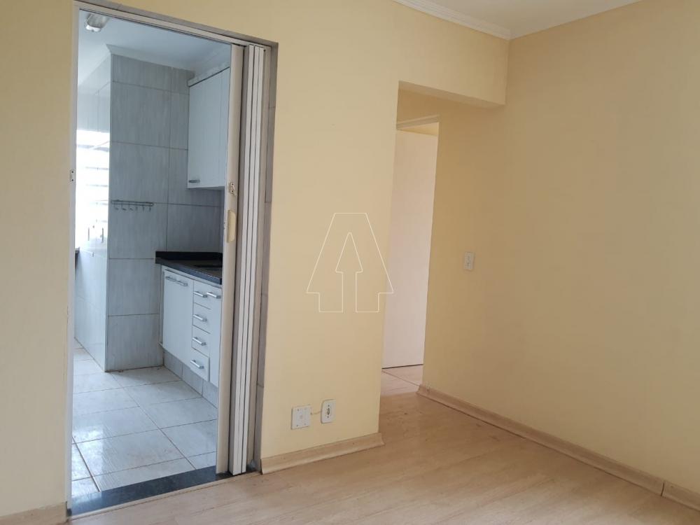 Alugar Apartamento / Padrão em Araçatuba R$ 550,00 - Foto 2