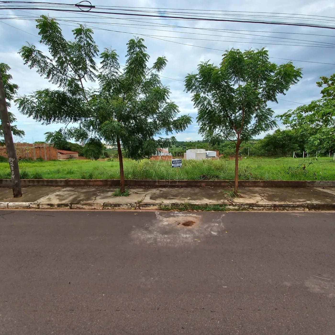 Comprar Terreno / Padrão em Araçatuba R$ 65.000,00 - Foto 1