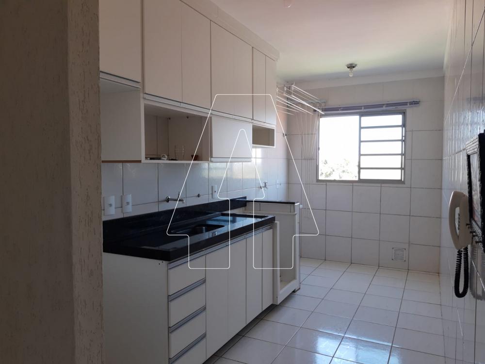 Alugar Apartamento / Padrão em Araçatuba R$ 850,00 - Foto 20