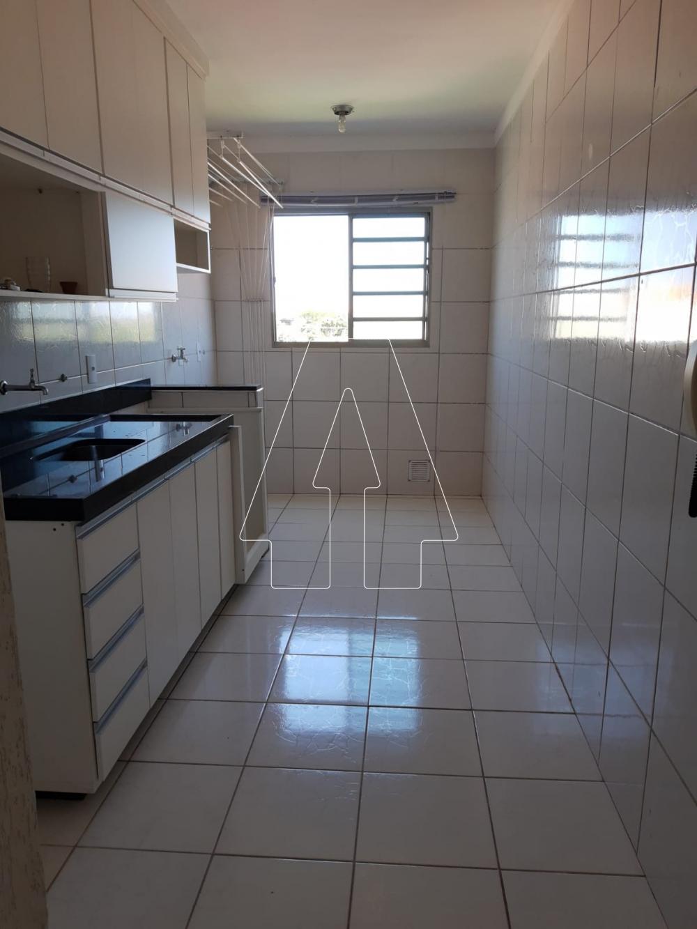 Alugar Apartamento / Padrão em Araçatuba R$ 850,00 - Foto 21