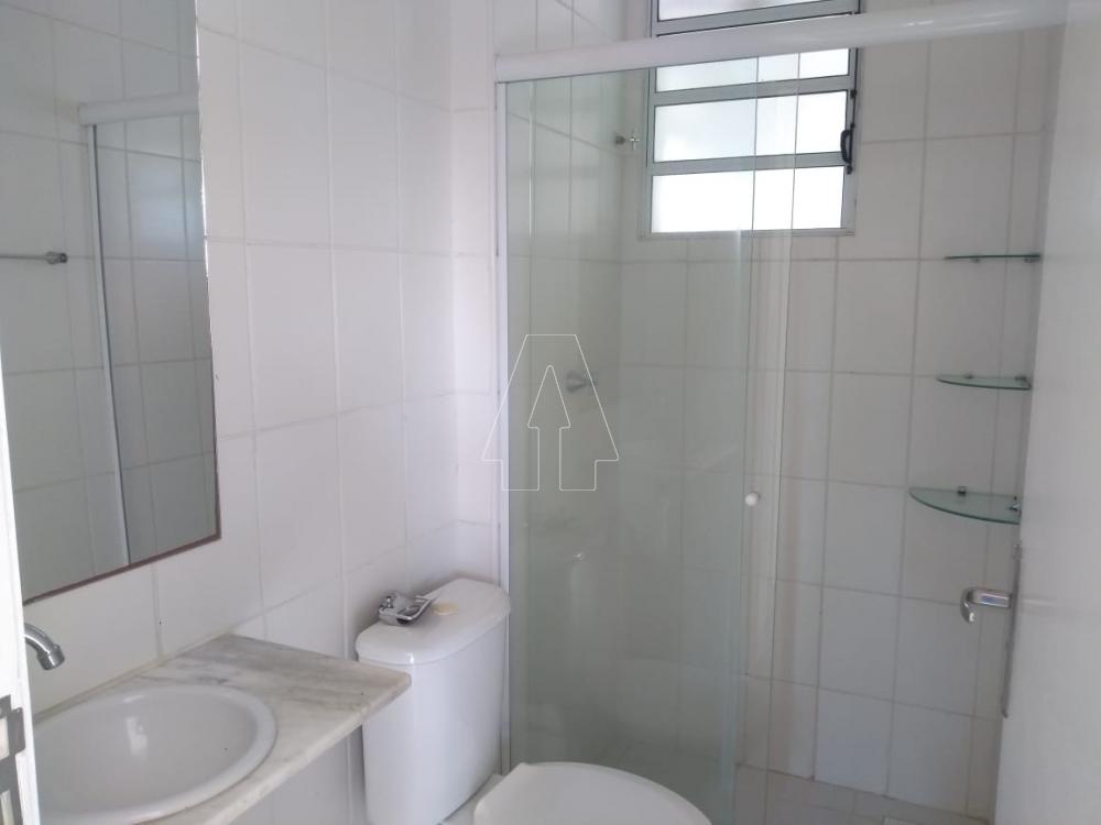 Alugar Apartamento / Padrão em Araçatuba R$ 600,00 - Foto 8
