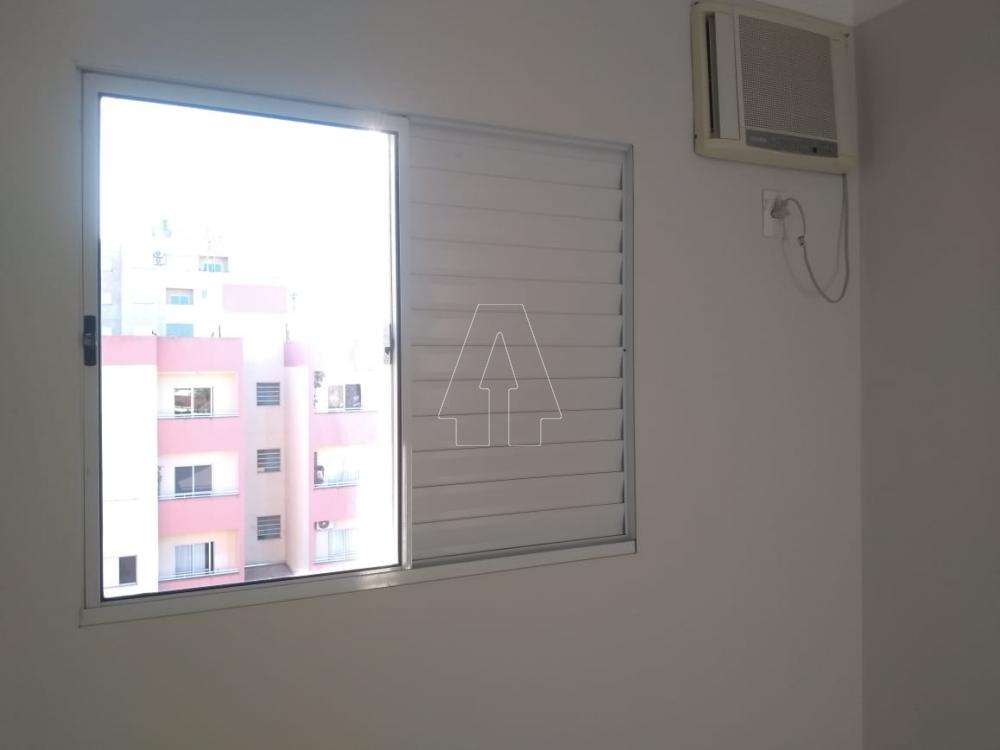 Alugar Apartamento / Padrão em Araçatuba R$ 600,00 - Foto 3