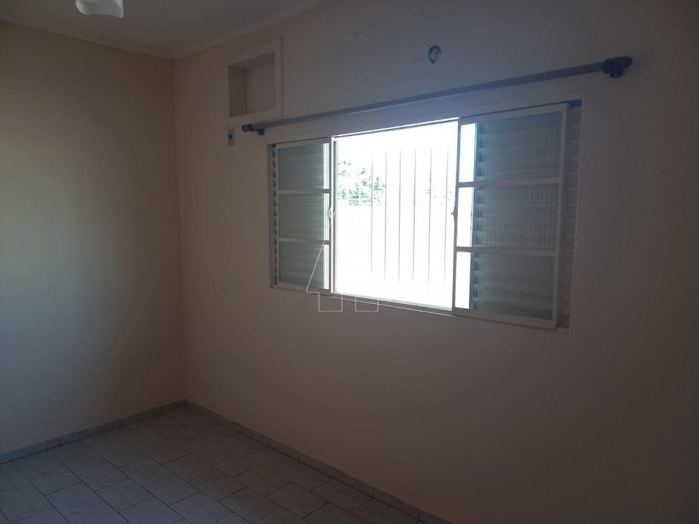 Alugar Casa / Residencial em Araçatuba R$ 1.300,00 - Foto 4