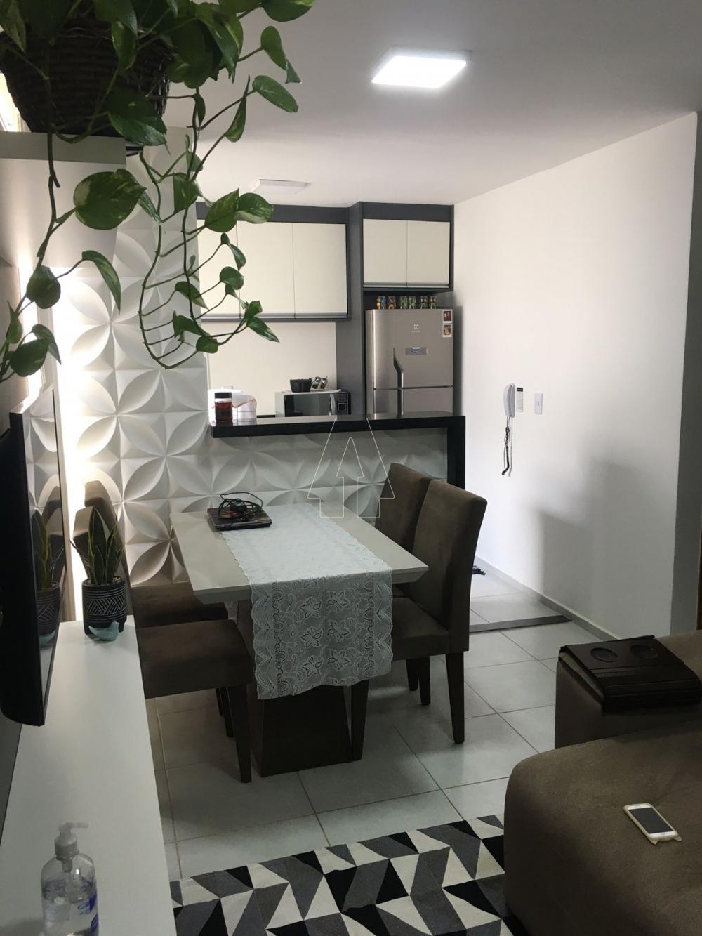 Alugar Apartamento / Padrão em Araçatuba R$ 1.100,00 - Foto 3
