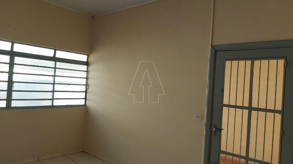 Alugar Casa / Residencial em Araçatuba R$ 700,00 - Foto 3