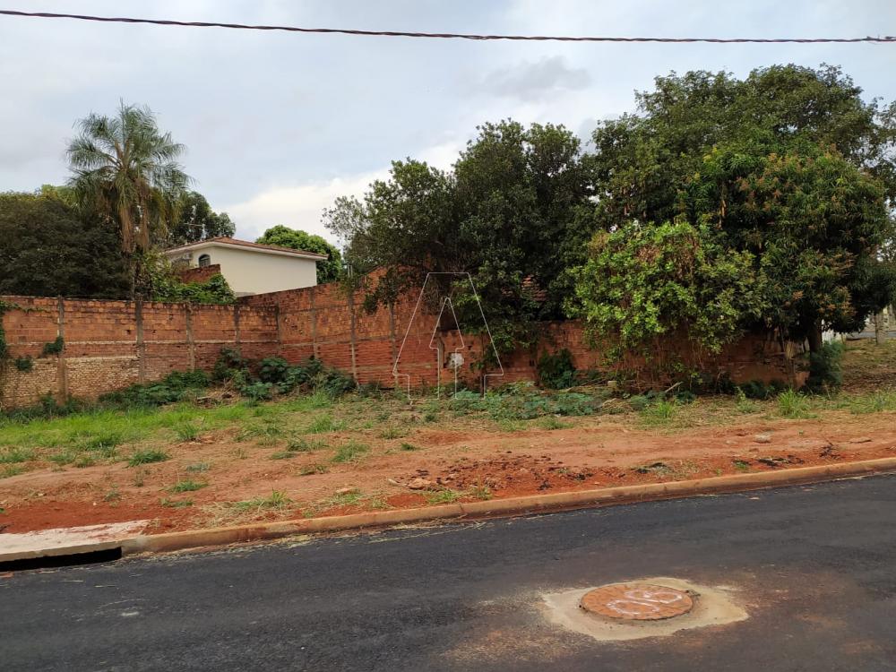 Comprar Terreno / Área em Araçatuba R$ 1.500.000,00 - Foto 2