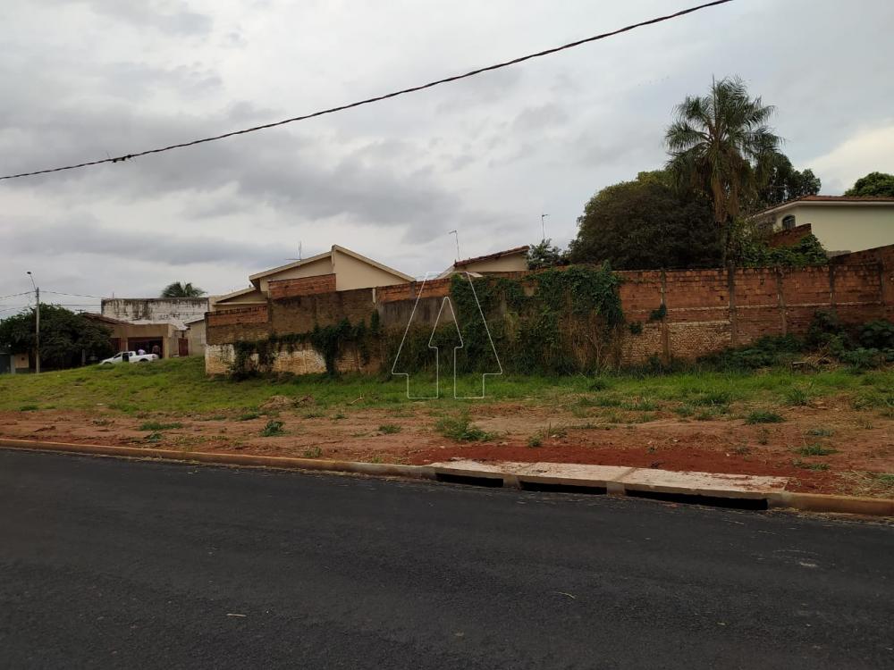 Comprar Terreno / Área em Araçatuba R$ 1.500.000,00 - Foto 3