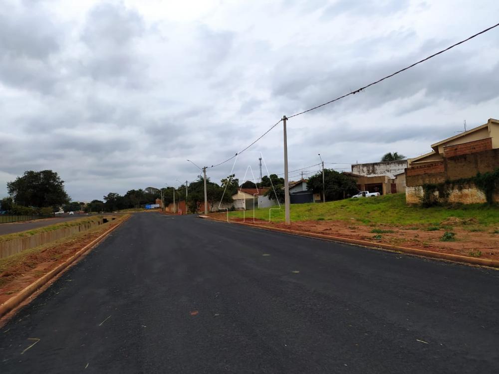 Comprar Terreno / Área em Araçatuba R$ 1.500.000,00 - Foto 5