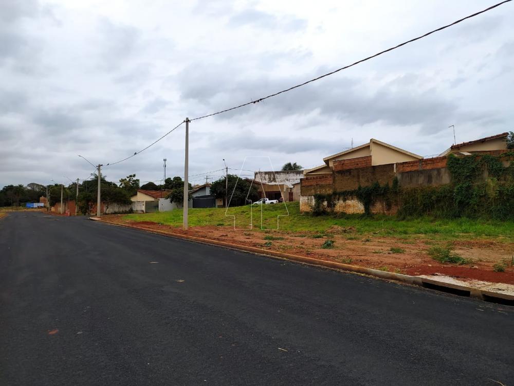 Comprar Terreno / Área em Araçatuba R$ 1.500.000,00 - Foto 7