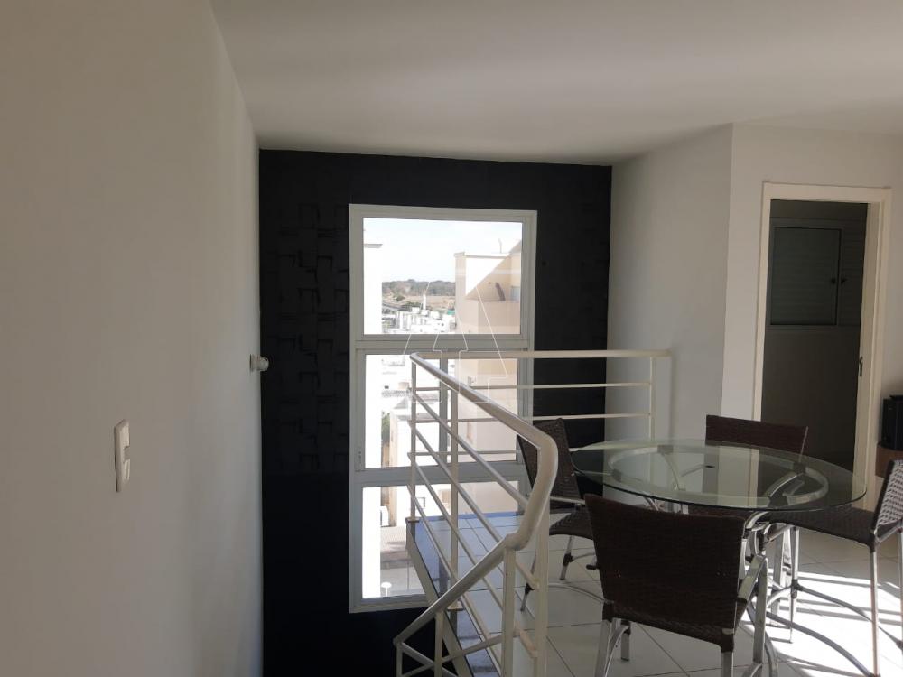Alugar Apartamento / Cobertura em Araçatuba R$ 1.950,00 - Foto 7