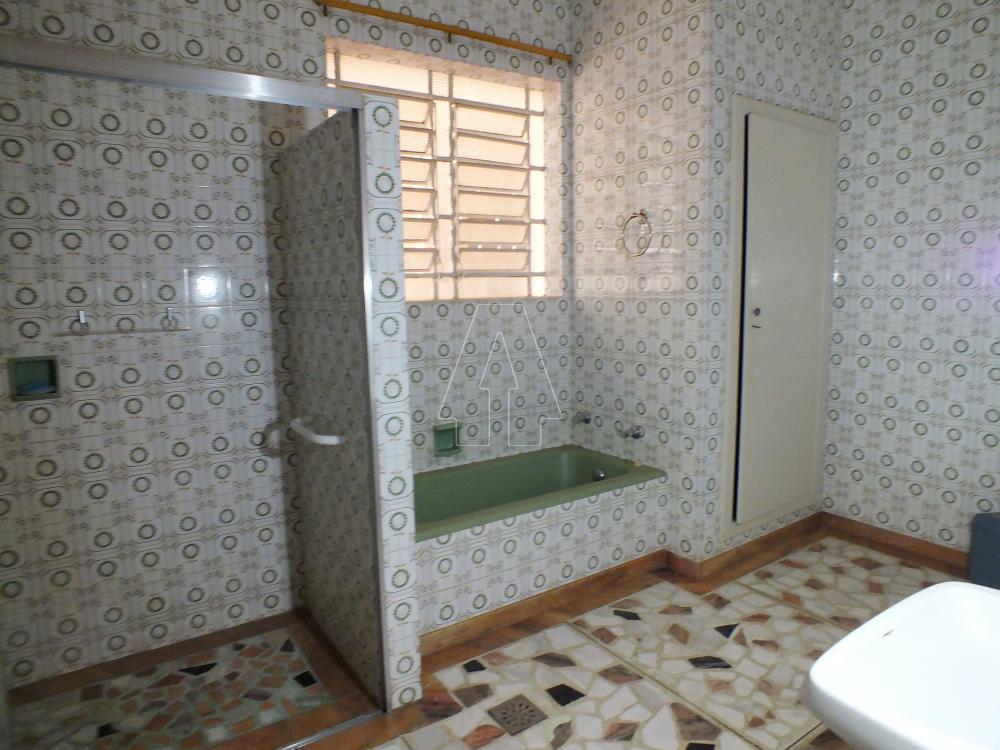 Alugar Comercial / Casa em Araçatuba R$ 5.500,00 - Foto 18