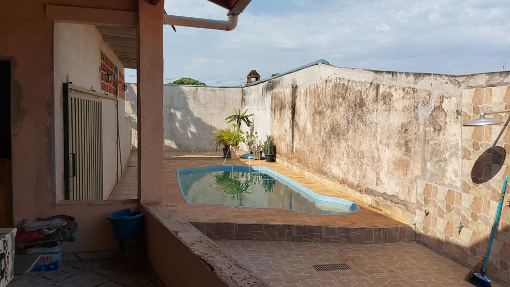 Comprar Casa / Residencial em Araçatuba R$ 400.000,00 - Foto 19