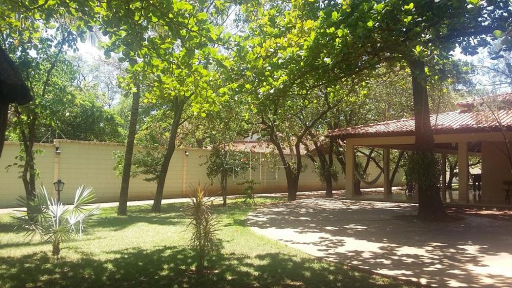 Alugar Casa / Residencial em Araçatuba R$ 10.000,00 - Foto 4