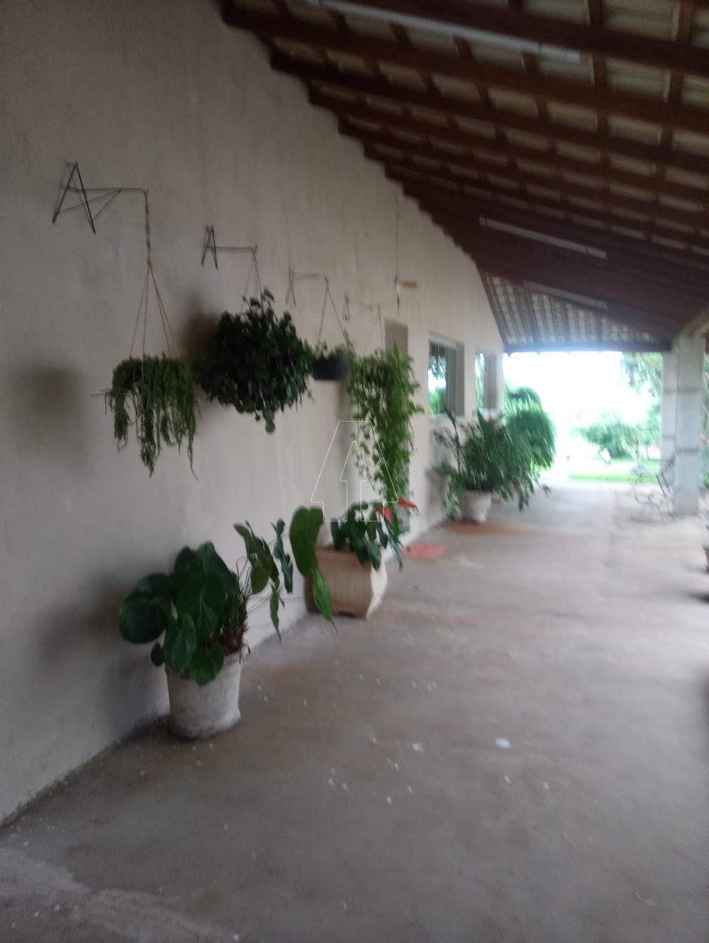 Alugar Rural / Rancho Condomínio em Araçatuba R$ 2.000,00 - Foto 3