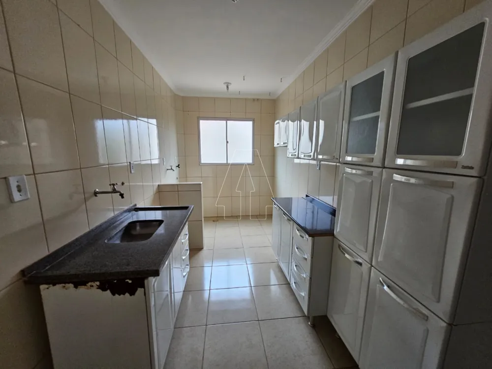 Alugar Apartamento / Padrão em Araçatuba R$ 650,00 - Foto 8