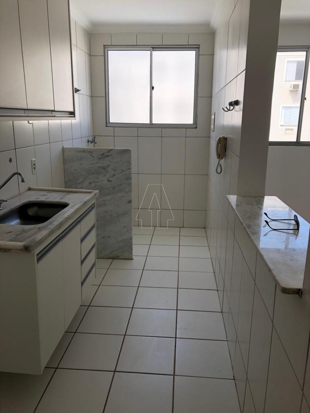 Alugar Apartamento / Padrão em Araçatuba R$ 770,00 - Foto 2