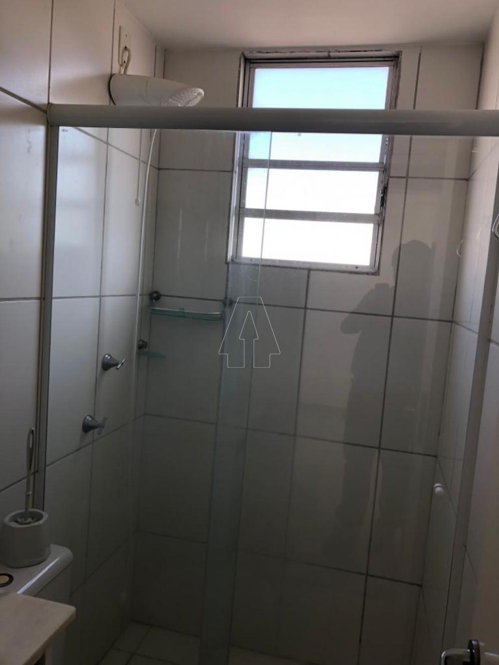 Alugar Apartamento / Padrão em Araçatuba R$ 770,00 - Foto 7
