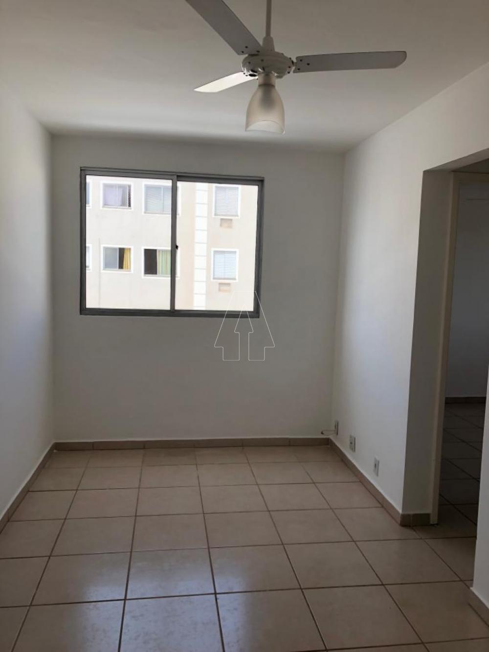 Alugar Apartamento / Padrão em Araçatuba R$ 770,00 - Foto 8