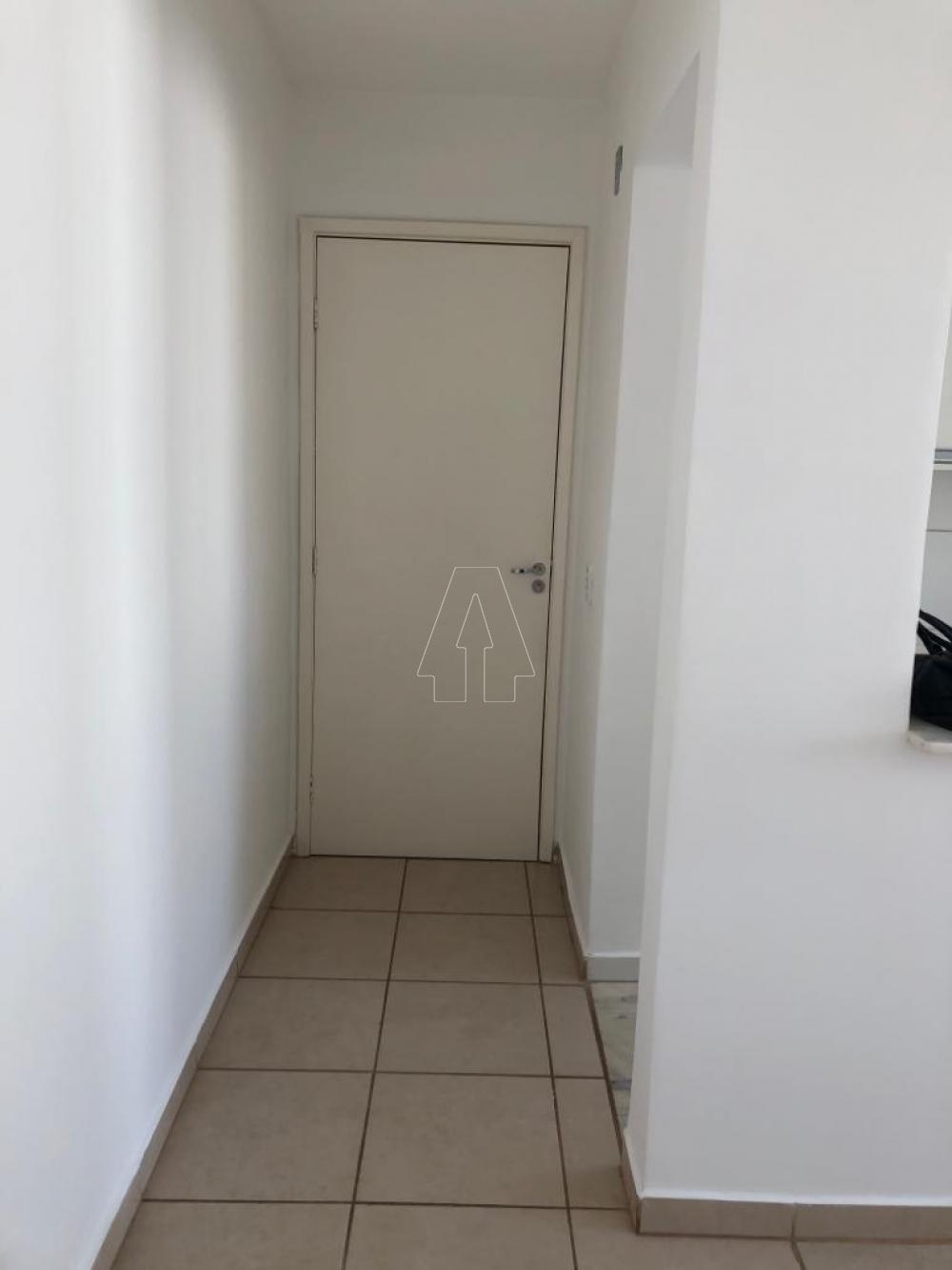 Alugar Apartamento / Padrão em Araçatuba R$ 770,00 - Foto 10
